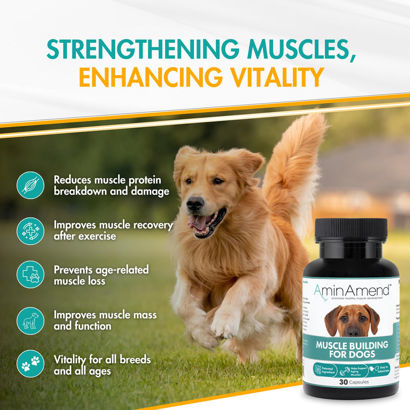Muscle Support Dog Supplements for Large Breed (21lbs+) with CaHMB & Vitamin D3 – Supports Strength, Mobility & Daily Activity for All Ages & Senior Dog – (30 Capsules) 430 mg