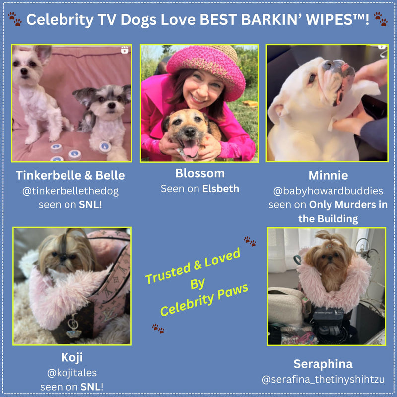 Best BARKIN' Wipes with Free Mesh Bag - Dog Wipes for Paws Ears and Butt - Micellar Aloe Scented Travel Friendly Puppy Wipes (12-Pack) 12-Pack - PawsPlanet Australia