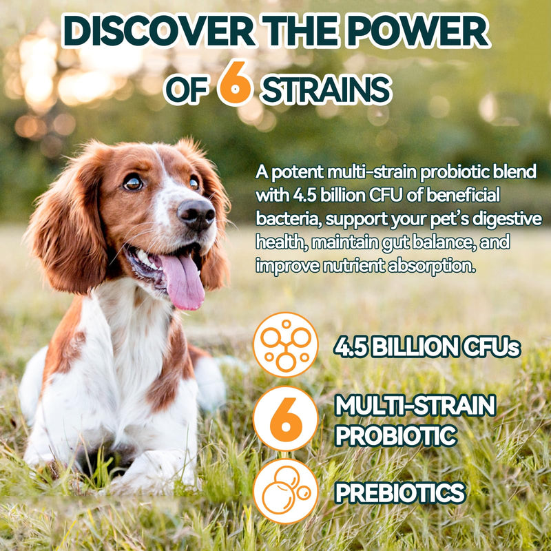 Dog Allergy Relief + Carmelie Probiotics for Dogs – 400 Soft Chews, Itchy Skin & Paw Licking Relief, Digestive Health, Immune Support, Seasonal Allergies, Chicken Flavor