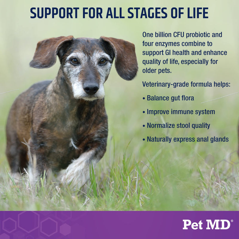 Pet MD Probiotics & Enzymes for Dogs - Gut Health Chews with Prebiotics - Digestive Aid for Dogs with Upset Stomach, Diarrhea, Constipation, or Gas - Functional Probiotics for Dogs - 60 ct - PawsPlanet Australia