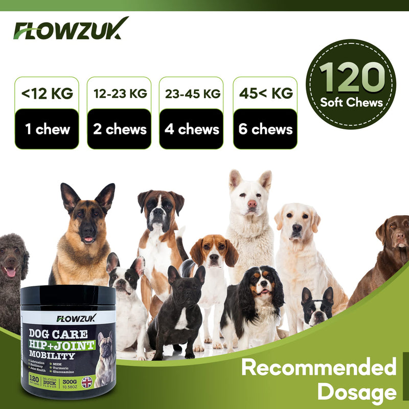 Dog Care Supplement - All-Natural Hip and Joint Supplements for Dogs - Dog Joint Itch Chews with Glucosamine, Turmeric, MSM - Beef