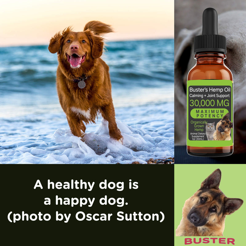 Busters Organic Hemp Oil 2Pack, 2Months Supply Treats for Dogs and Cats Perfect Ratio Omega 3 and 6 Made in USA Hip and Joint Health, Natural Relief, Calming