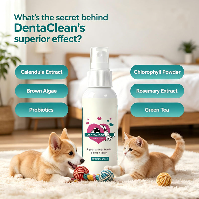 DentaClean Spray for Dogs & Cats, No-Brush Plaque & Tartar Remover, Breath Freshener for Dog Dental Care, Supports Daily Oral Hygiene, Easy Spray for Dogs Cats, 100ml