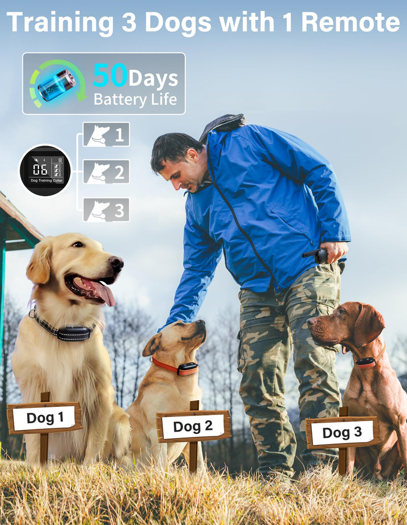 PaiPaitek Bark Activated Shock Collar with Remote - Automatic Bark and Training Collar Combo 3300ft Range, Bark Shock Collar for 40-150lbs Medium Large Dogs - IPX7 Waterproof Orange - BeesActive Australia