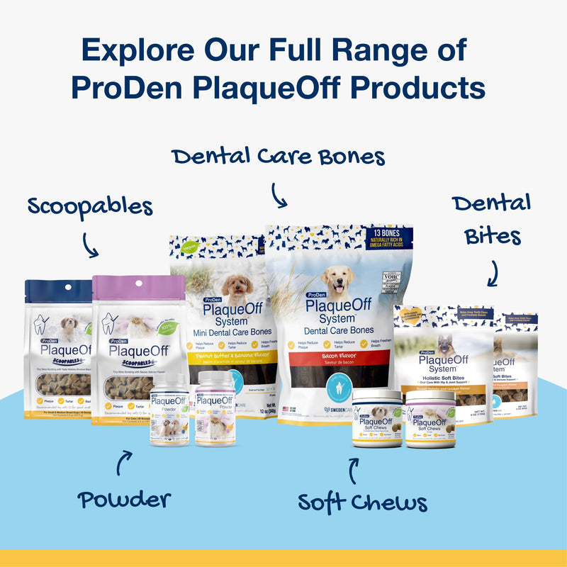ProDen PlaqueOff Dental Care for Dogs and Cats, 60gm - BeesActive Australia