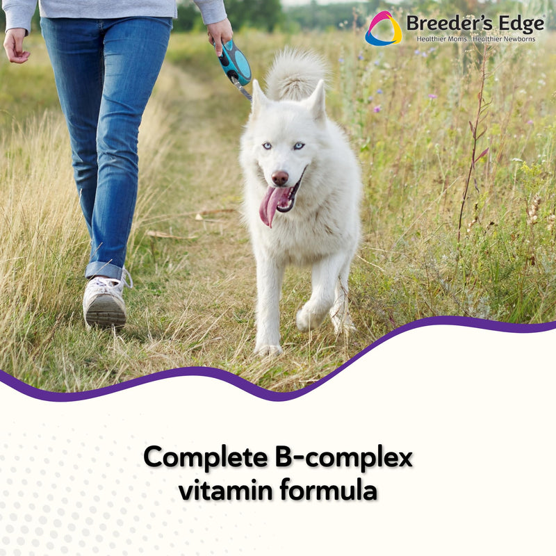 Breeder's Edge B Strong Liquid, Vitamin B for Dogs and Cats, Supports Canine and Feline Reproductive Health, Promotes Healthy Heat Cycles, Provides Energy, and Stimulates Appetite, 8 oz 8 oz - Liquid