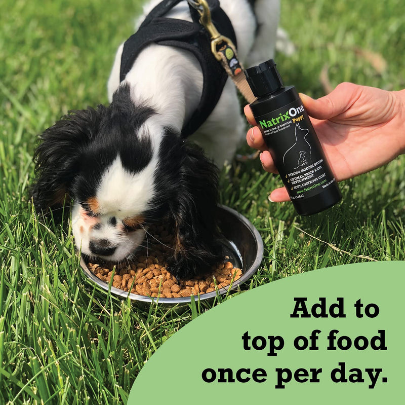 Omega 3 for Puppies 8 oz - Immune System and Cognitive Development Booster - All-Natural Skin and Coat Supplement - Made with Camelina Oil by NatrixOne - PawsPlanet Australia