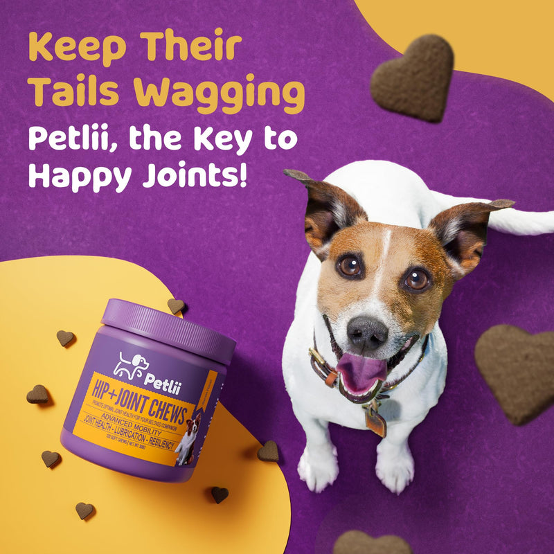 HIP and JOINT CHEWS - Dog Joint Supplements for the maintenance of Cartilage, Hips & Joints. Combines Glucosamine, Chondroitin and MSM in a convenient chew for Senior and Adult dogs - 120 Chews