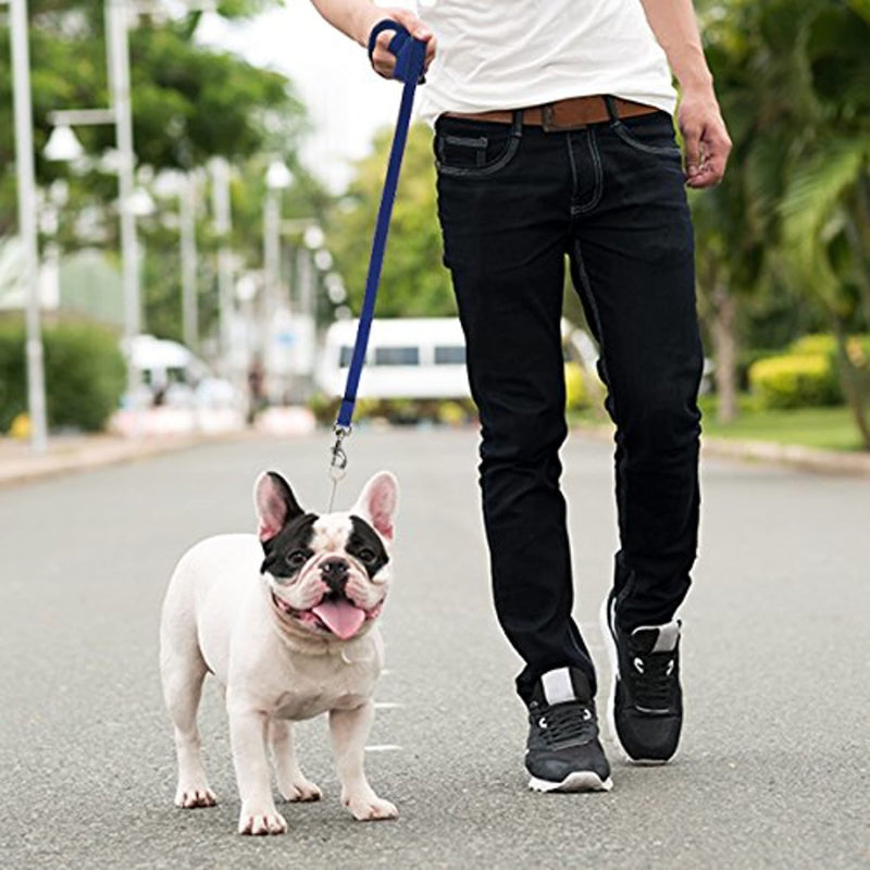 Downtown Pet Supply - Long Dog Leash - Dog Training Leash - Recall & Obedience Dog Training Tools - Nylon - 100 ft - Blue Dog Leash 100 Foot - BeesActive Australia