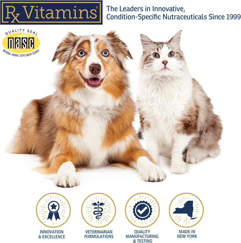 Rx Vitamins Amino B Plex for Pets - B Vitamin Complex Plus Amino Acids for Dogs & Cats - Vitamin Supplements for Dogs' & Cats' Total Body Support - 4 oz - BeesActive Australia