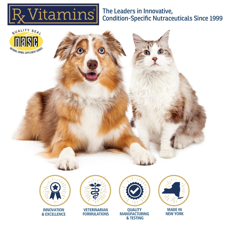 Rx Vitamins Rx Biotic - Probiotic Powder for Dogs and Cats - 2.12oz | Cat & Dog Probiotics for Digestive Health - Supports Gut Health for Dogs & Cats with Prebiotics New Label