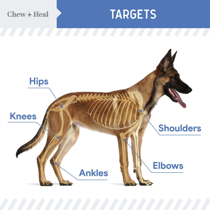 Chew + Heal Labs Liquid Glucosamine for Dogs Hip and Joint Supplement - 16 oz Bacon Flavored Advanced Mobility Support - Made with Glucosamine, Chondroitin, MSM, Turmeric, and Green Lipped Mussel - PawsPlanet Australia