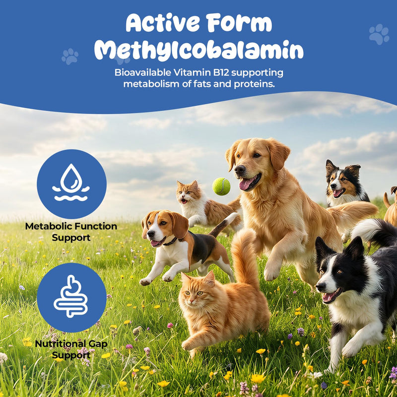 Appetite Stimulant Powder for Dogs & Cats, Vitamin B12 Supplement with Methylcobalamin, Supports Appetite, Energy & Daily Vitality, Dietary Supplement for Pets