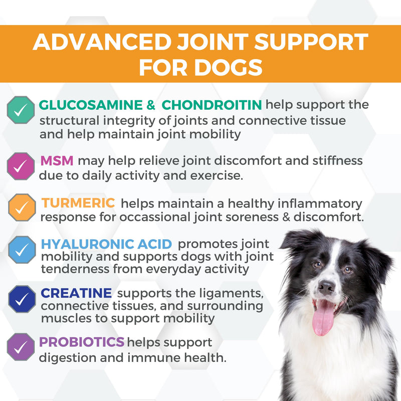 Nootie Progility Hip & Joint Supplement for Dogs, Dog Joint Support with Glucosamine and Chondroitin, 90 Count Hip & Joint Chews- 30lbs and over - PawsPlanet Australia