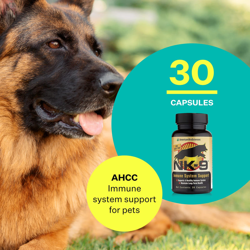 NK-9, AHCC Supplement for Dogs & Cats - Dietary Supplement to Support Immune System - Made for Pet's Immune Defenses - 30 Capsules, 250mg/capsule - PawsPlanet Australia