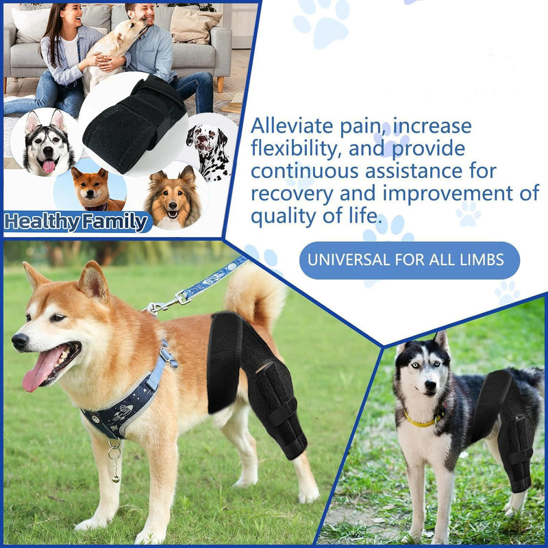 Dog Knee Brace for Torn Acl and Ccl Injuries, Adjustable Dog Acl Brace Hind Leg Support with Metal Stabilizers, Knee Brace for Dogs Back Leg Helps with Joint Pain, Surgery Recovery (M) M