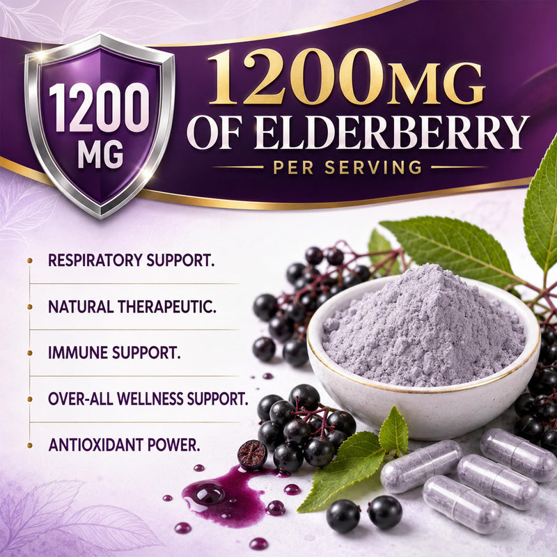 Elderberry Capsules with Vitamin C & Zinc, 1200mg Black Elderberry Extract | Vegan, Non-GMO, 60 Capsules, Supplement for Daily Wellness, Antioxidant & Digestive Support