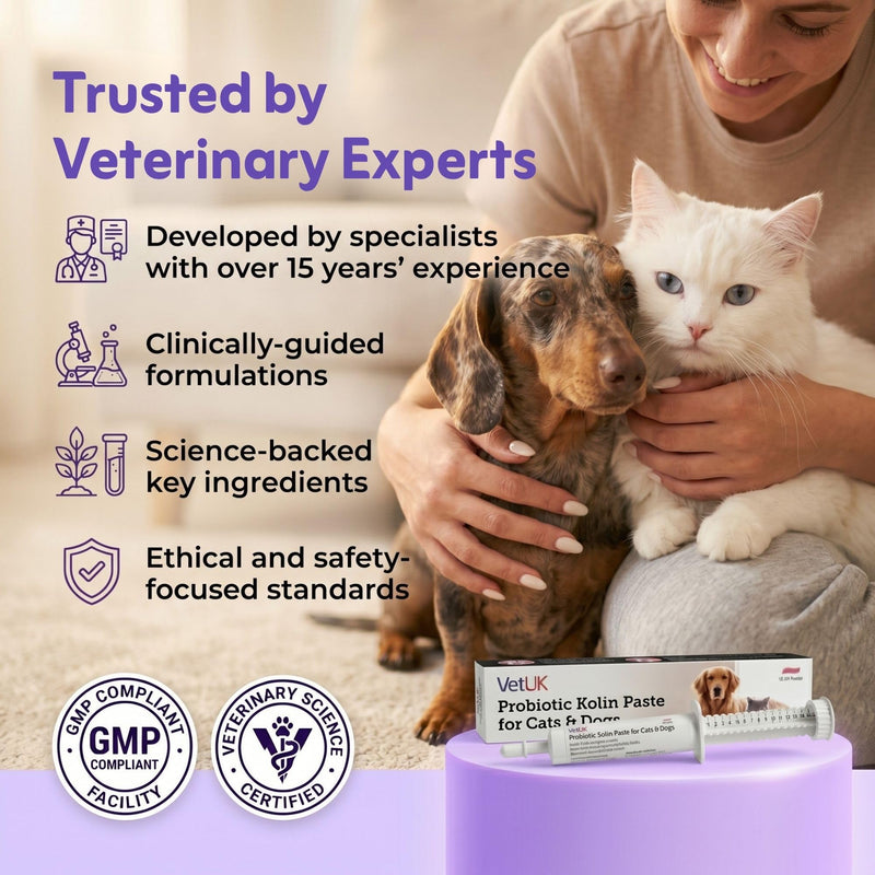 60 ml Probiotic for Dogs & Cats prokoline paste for dogs Digestive Support and Gut Health Supplement for Loose Stools 60 ml