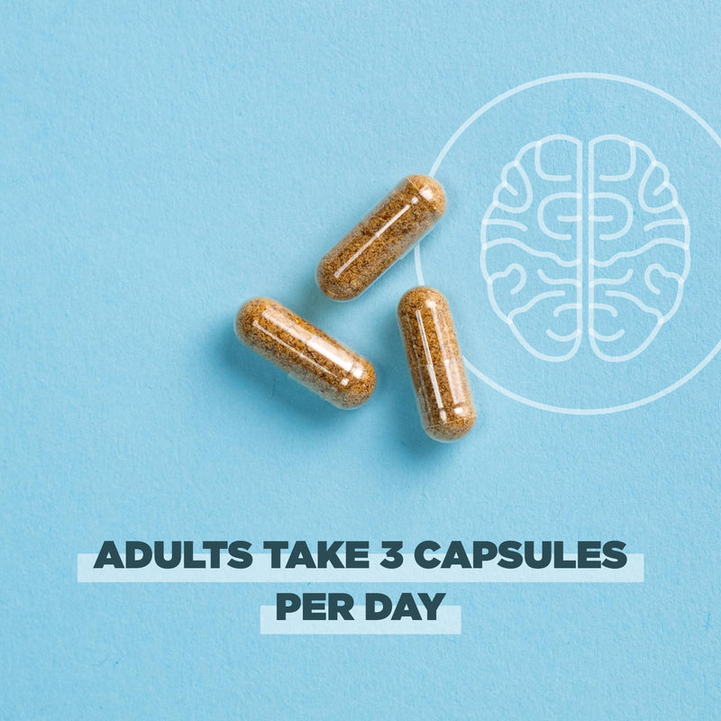 Ancient Nutrition Regenerative Organic Certified Focused Brain Capsules, Made with Ginkgo Leaf, Lion's Mane to Help Reduce Stress, Gluten Free, Paleo and Keto Friendly, 90 Count - BeesActive Australia