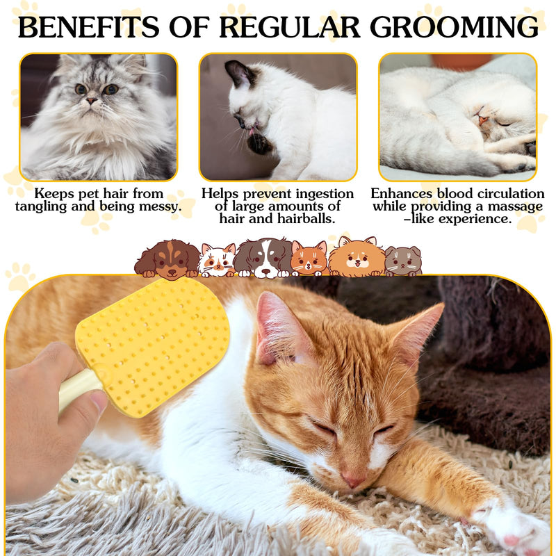 3PCS Cat Tongue Comb, Cat Grooming Brush, Cat Brushes for Indoor Cats, Cat Brush for Shedding, Cat Comb for Long Haired Cats, Pet Ice Cream Massage Comb, Easily Removes Fur Reducing Hairballs (Blue, - BeesActive Australia
