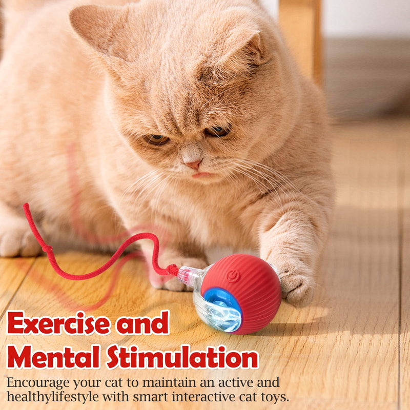 Interactive Cat Toy - Cat Toys for Indoor Cats Smart Silicone Rolling Ball with Tail,Bird Sound,Obstacle Avoidance and Motion Activated,Kitten Puzzle Toys for Bored Indoor Adult Cats & Dogs (Red) Red - BeesActive Australia