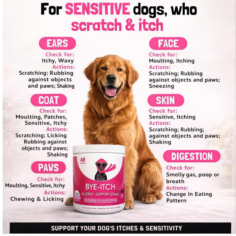 CHILIMILII BYE-Itch Immunity Treats For Dogs- 120 Anti-Itch Chews-Allergy Support Chews-Helps Soothe Itchy Skin, Paws, Ears - Licking, Scratching-Perfect for Small, Medium & Large Dogs-