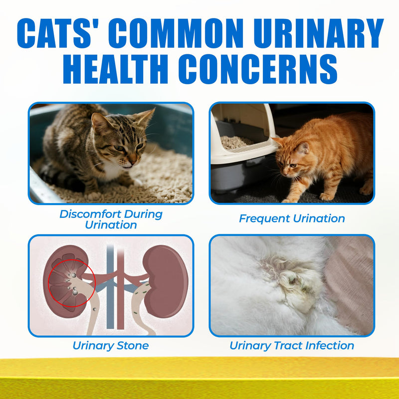 Just Try 300 Bites 6.35 oz Urinary Tract Bites for Cats - Cranberry & D Mannose Formula for Bladder Health - Prevent UTI & Promote Urinary Comfort - Grain Free, Natural Ingredients Cat Supplements Urinary Health