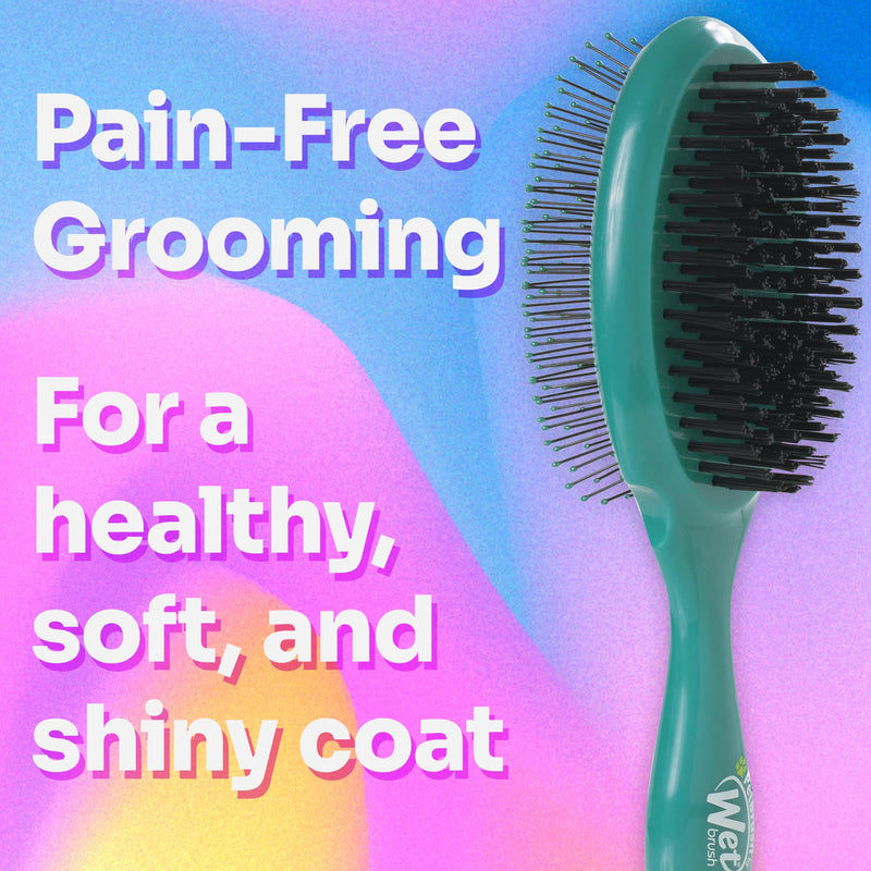 Wet Brush Ultimate Dual-Sided Detangling Brush - Ultra Soft IntelliFlex Bristles, Removes Loose Hair & Dirt for Dogs, Cats, Rabbits - Teal - BeesActive Australia