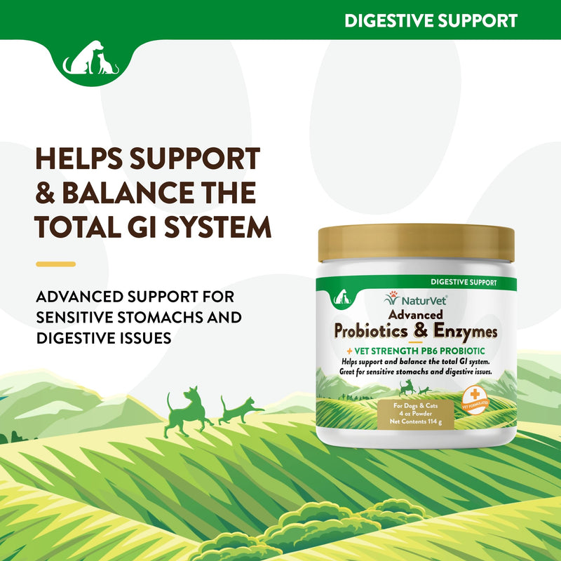 NaturVet – Advanced Probiotics & Enzymes - Plus Vet Strength PB6 Probiotic | Supports and Balances Pets with Sensitive Stomachs & Digestive Issues | for Dogs & Cats (4 oz) 4 oz Powder - BeesActive Australia