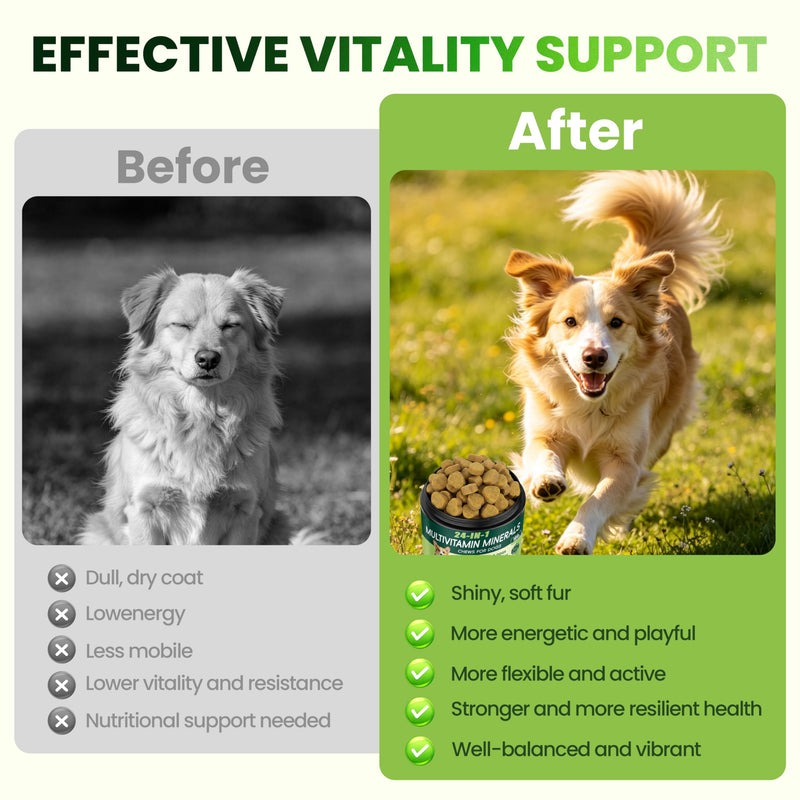 24-in-1 Dog Vitamins and Supplements, Dog Multivitamin Chewable with Chondroitin Probiotics Omega-3 Glucosamine for Dogs Skin Coat Hip and Joint Heart Gut Liver Brain Eye Immune Support, 90 Chews