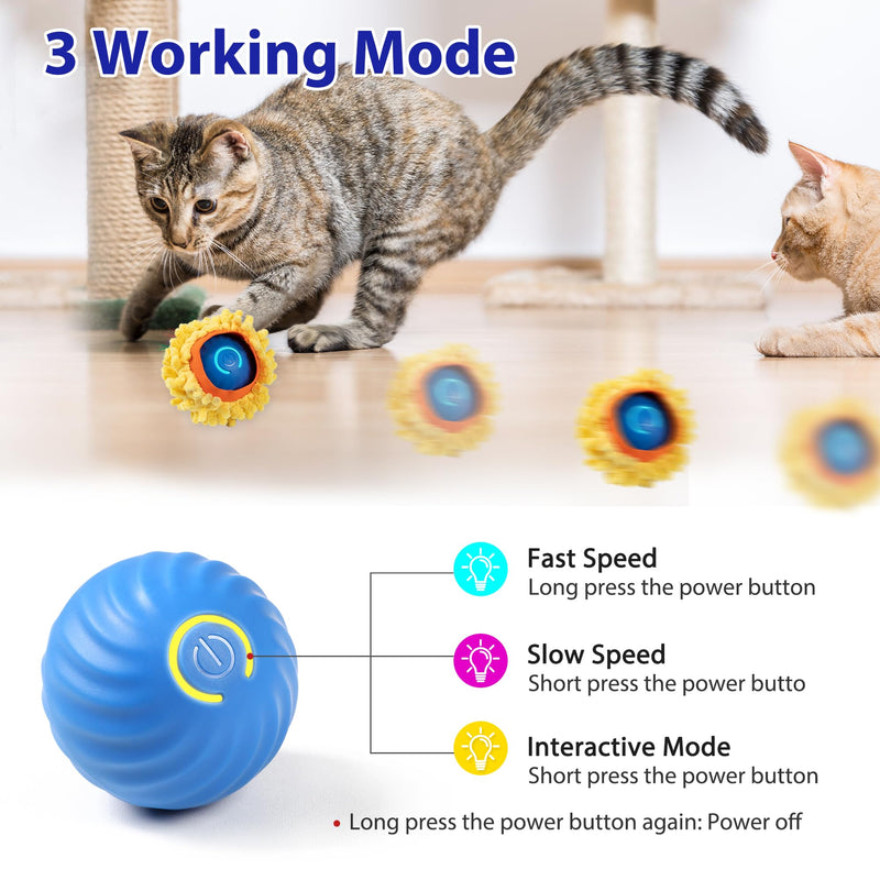 Interactive Cat Toys, Fast Rolling Ball in Play Pocket, Automatic Motion Activated Moving Ball Hide and Seek Mouse Catching Game - BeesActive Australia