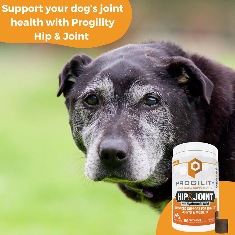 Nootie Progility Hip & Joint Supplement for Dogs, Dog Joint Support with Glucosamine and Chondroitin, 90 Count Hip & Joint Chews- 30lbs and over - PawsPlanet Australia