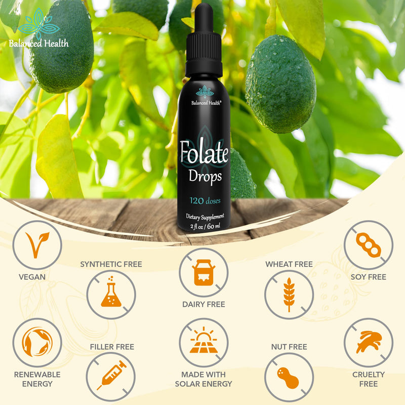 Folate Drops - 120 Servings, 2oz, Butterscotch Flavor, 500mcg L-5-MTHF Folic Acid Supplement 2 Fl Oz (Pack of 1)