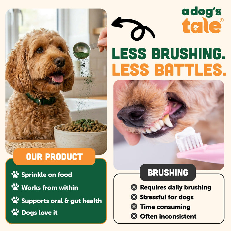 Plaque Off Powder for Dogs | Dogs Dental Powder for Teeth Cleaning, & Tartar Removal – Seaweed Plaque Remover with Probiotics for Gut Health & Fresh Breath – Up to 150 Days Supply