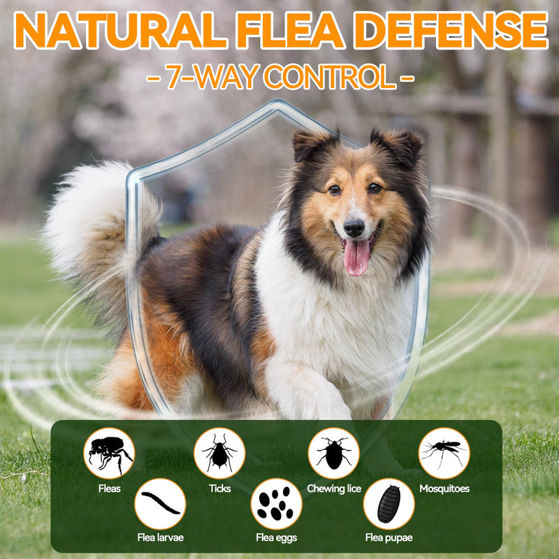 Flea and Tick Support Bundle for Dogs – Oral Flea Drops for Dogs + Flea Chews for Dogs – Natural Flea Prevention for All Breeds & Ages – Chicken Flavor