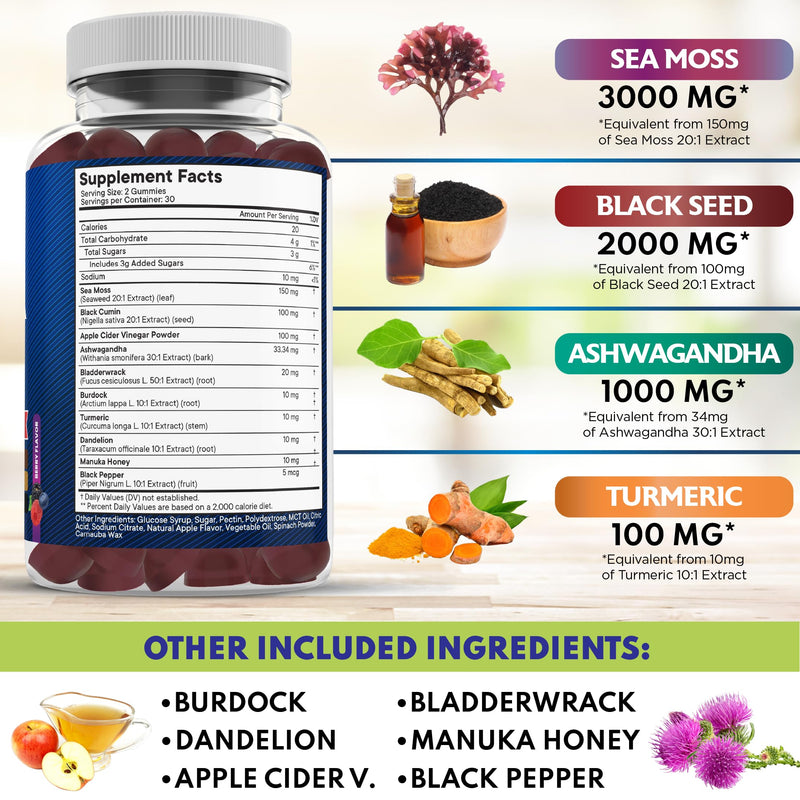 NEW AGE Sea Moss Gummies, Sea Moss, Black Seed, Ashwagandha, Turmeric, Manuka Honey, ACV, Dandelion, Black Pepper, Burdock, Bladderwrack, Vegan- 180 Count 180 Gummies (Pack of 3)