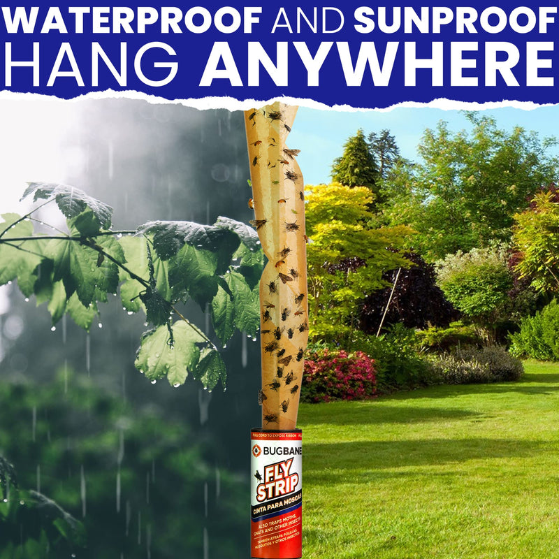 48 Fly Strips Indoor Sticky Hanging with Pins. Fly Trap Fly Paper Strips Indoor Hanging Fly Tape for Indoors and Outdoor. Fly Catcher Fly Ribbon Sticky Fly Traps for Indoors Flypaper. Fruit Gnat Traps 48pk - BeesActive Australia