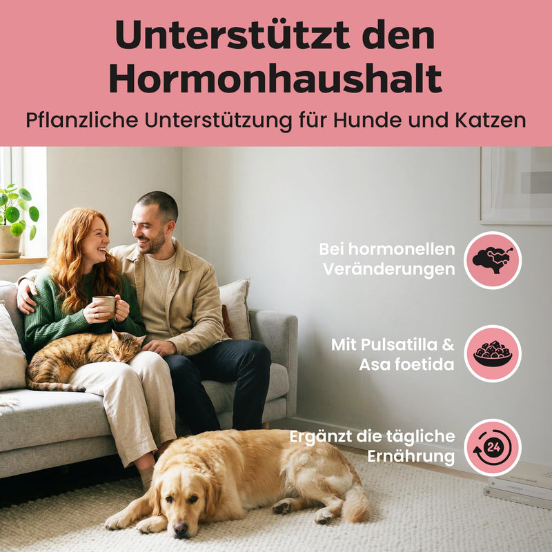 alfavet Pregnostat for Dogs & Cats (100 ml) – Liquid Supplement for Reproductive Support – With Pulsatilla, Melissa & Asa Foetida