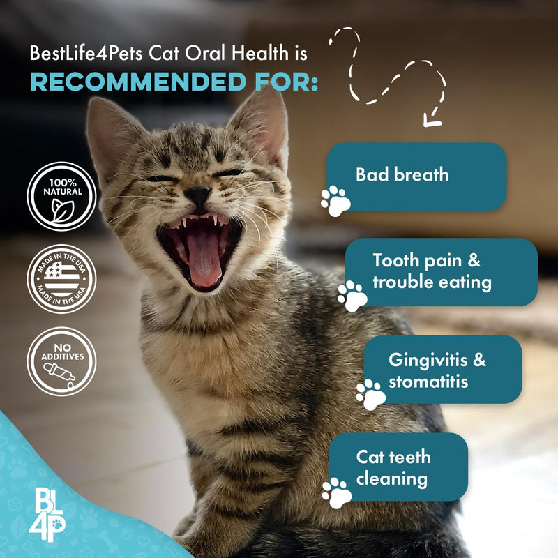 Cat Dental Care Supplement for Bad Breath, Tartar & Gum Support - Natural Cat Teeth Cleaning Oral Tablets Provide Eating & Gum Comfort, Teeth Wellness and Plaque Control, Tiny Dissolvable 400 Pills 1-Pack