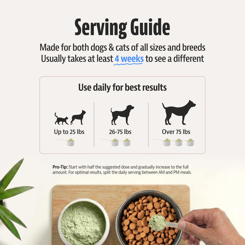 Advanced Dental Powder for Dogs and Cats - Helps Reduce Plaque & Tartar Buildup, Supports Fresher Breath - Pet Teeth Cleaning Powder with Probiotics & Herbal Blend - 180g