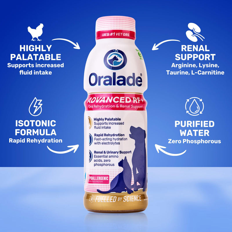 Oralade Advanced RF+ Oral Rehydration Support for Dogs & Cats | Ready-to-Serve Hydration Drink with Amino Acids | Supports Kidney & Urinary Health | Roast Chicken Flavour | 500ml
