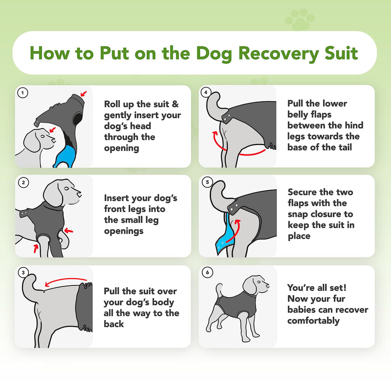 Suitical Recovery Suit Dog, L, Black L (Pack of 1) - BeesActive Australia