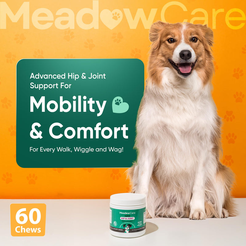 Hip and Joint to Supports Bone, Cartilage & Connective Tissue & Multi-Function to Support Joint Mobility, Skin, Coat & Immune System, Bundle for Dogs