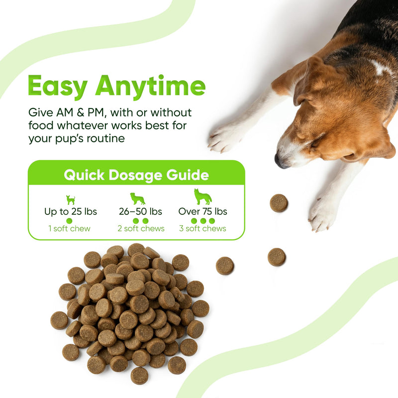 SNIFF N CHOMP Dog Allergy Chews, Chicken Flavor, Probiotics for Dogs with Quercetin Omega 3 Zinc, Seasonal Allergy Relief, Immune Support Soft Chews, Probióticos para Perros | 90 Soft Chews