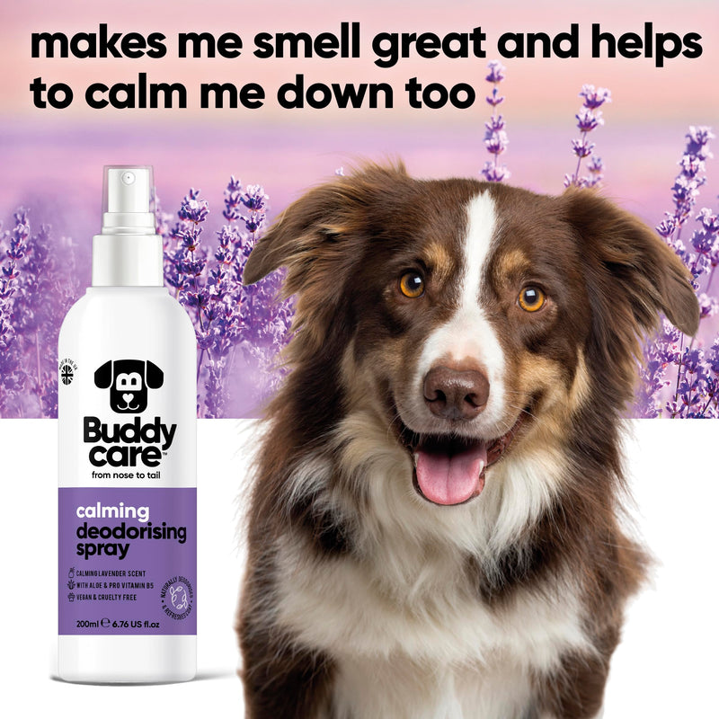 Buddycare Dog Deodorizer Spray - Lavender - Soothing Deodorizer Spray for Dogs - with Aloe Vera and Pro-Vitamin B5 (200ml, 1 Count) - BeesActive Australia