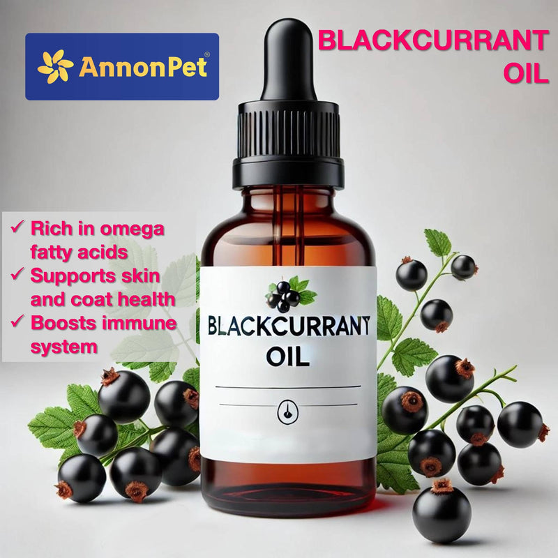 Derma-Care Ribes Complex 95% - Supplement for Dogs and Cats, Supports Skin and Coat - Omega 3 for Dogs - Vitamin E for Healthy Skin - Supplement for Dog and Cat Dermatitis 30 ml