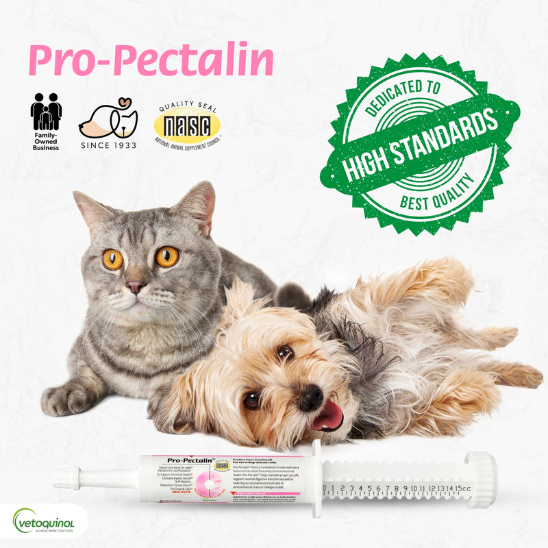 Vetoquinol Pro-Pectalin Oral Paste for Dogs & Cats – 30cc, Chicken Flavor – Helps Reduce Occasional Loose Stool & Diarrhea, Balance Gut pH, Support Normal Digestion & Intestinal Flora - BeesActive Australia