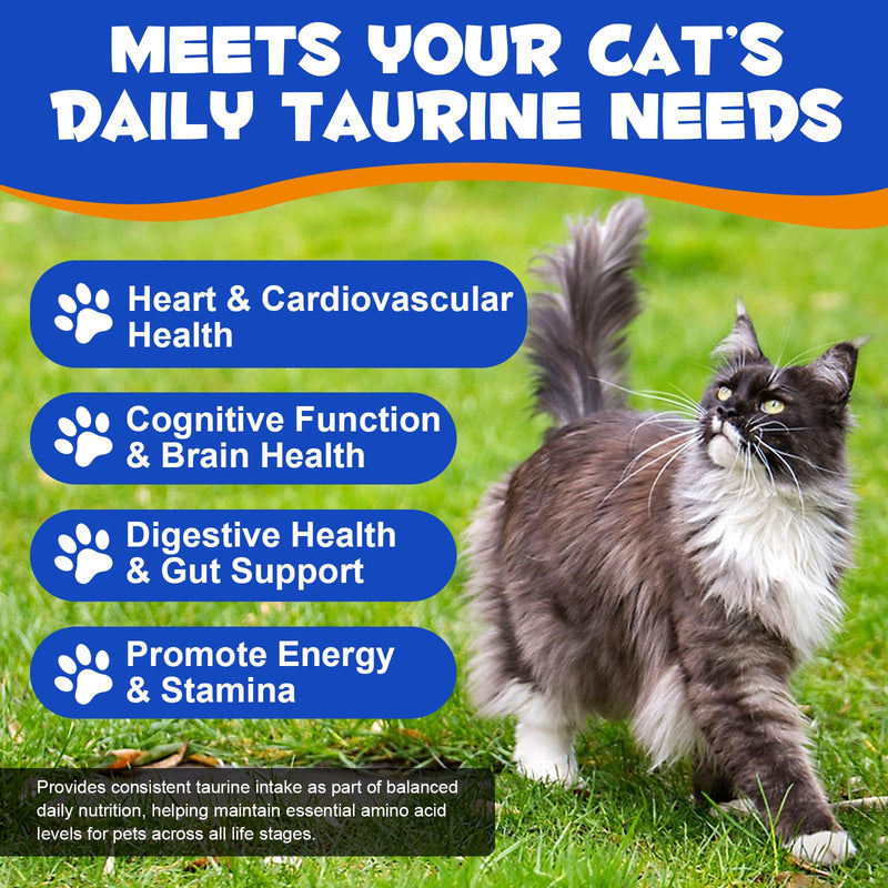 Taurine Powder for Cats 200g | Pure Taurine Amino Acid Supplement for Feline Nutrition | Supports Heart, Vision & Daily Wellness | No Additives, Easy to Mix | for Kittens, Adult & Senior Cats
