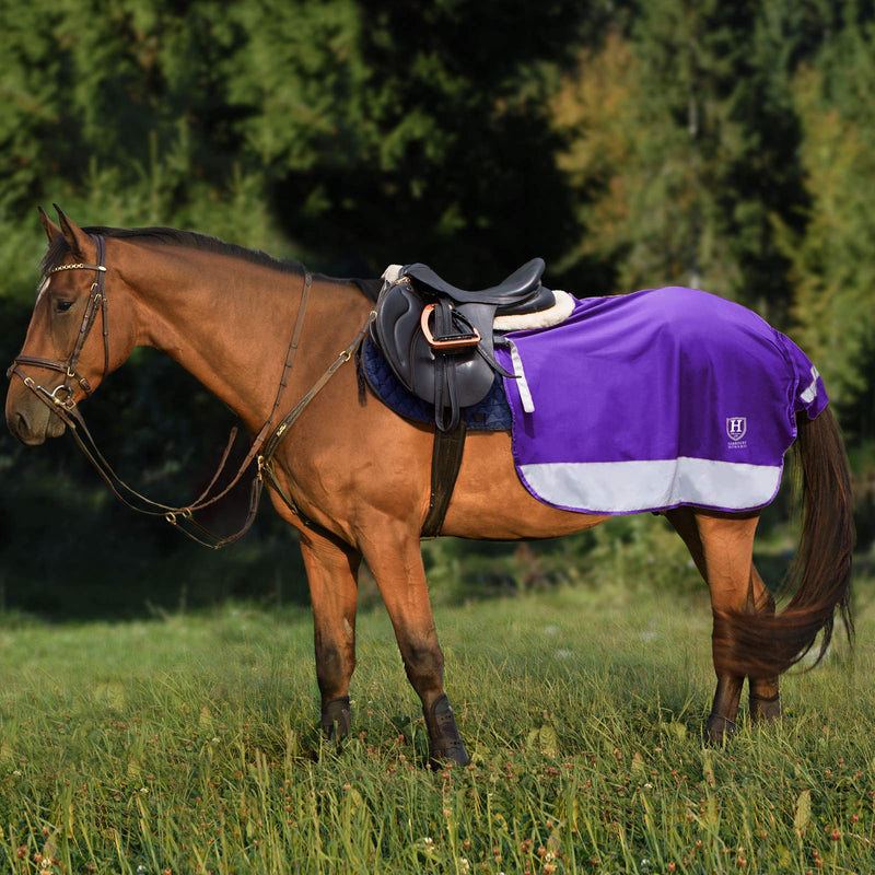 Harrison Howard Quarter Horse Fleece and Mesh Exercise Sheet Breathable Comfort Turnout Horse Blanket Hi-Viz Competition Rug Purple L Large - BeesActive Australia