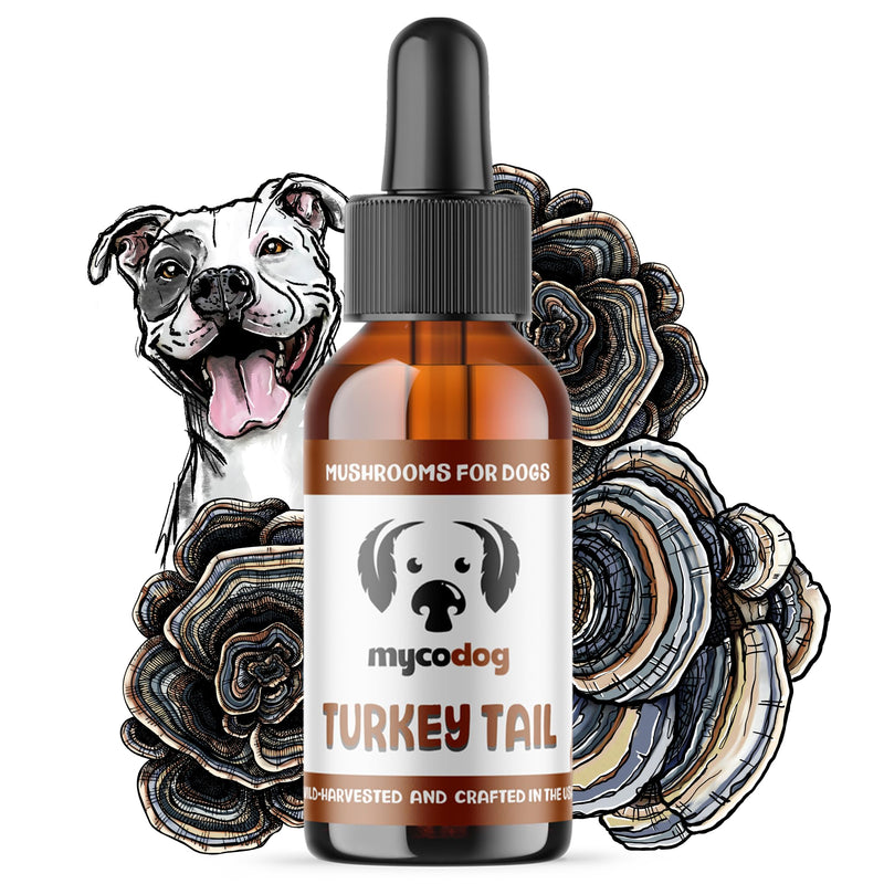 MycoDog Turkey Tail Mushroom for Dogs - Immune & Gut Health Support - Turkey Tail Supplement for Dogs - Daily Wellness Drops